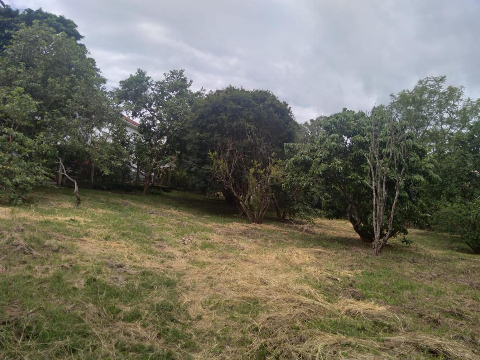 Casa Delicia Em Passa Quatro Ate 6 Pessoas Villa Exterior foto