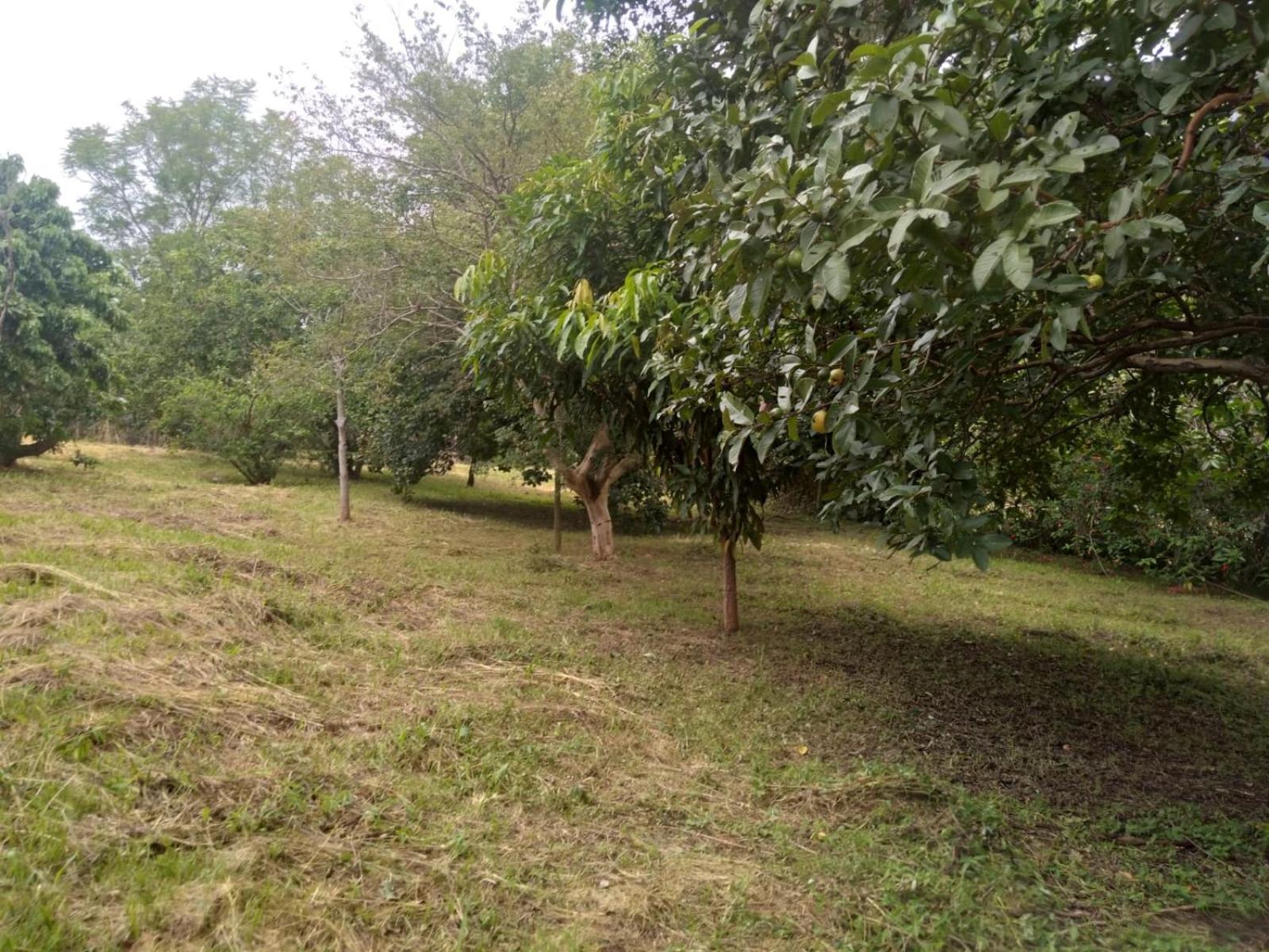 Casa Delicia Em Passa Quatro Ate 6 Pessoas Villa Exterior foto