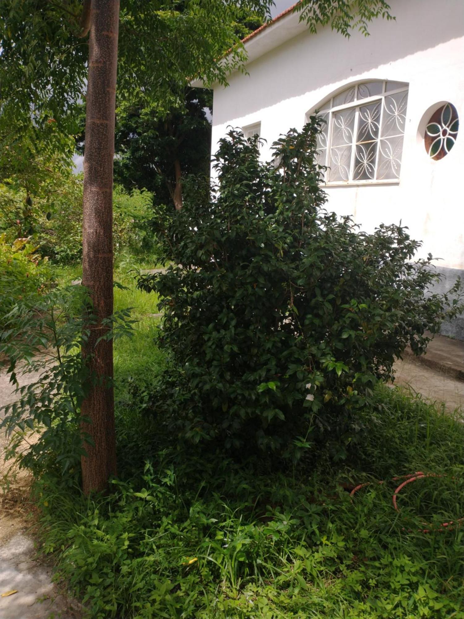 Casa Delicia Em Passa Quatro Ate 6 Pessoas Villa Exterior foto